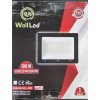 Walled 100 w Led Projektör